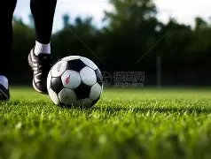 孔帕尼,败中显英雄,球员表现实,世界杯竞猜,2026世界杯,竞猜技巧,足球预测,世界杯下注