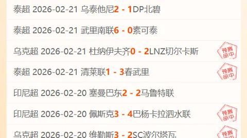 阿森纳力求引进吉马良斯与苏比门迪，锁定锋线引援计划